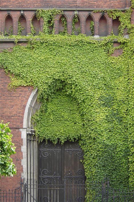 Schaerbeek Eglise Palais