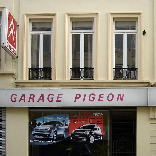 Etterbeek Pigeon