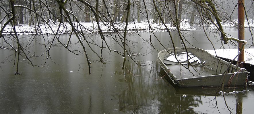 Le Bois de la Cambre