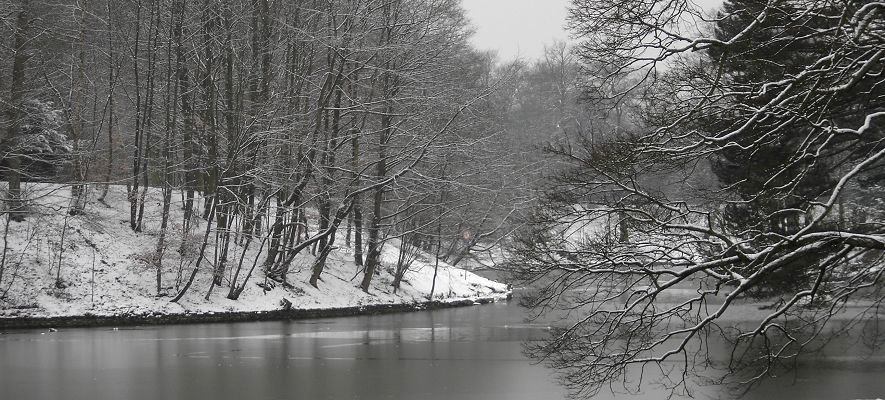 Le Bois de la Cambre