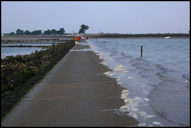 noirmoutier-061.JPG