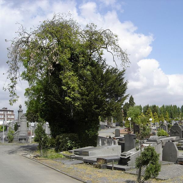 Ixelles cimetière