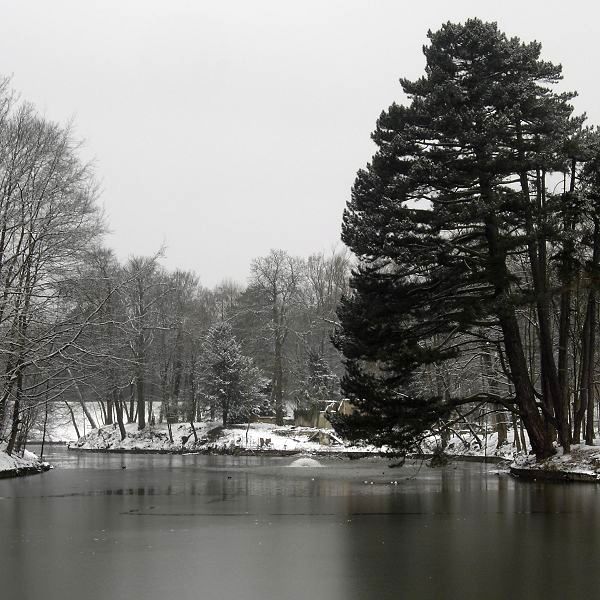 Le Bois de la Cambre