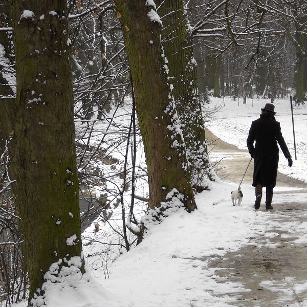 Le Bois de la Cambre