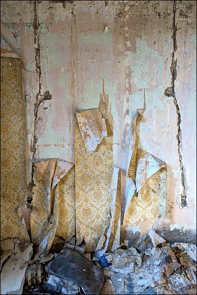 Papier peint dégradé