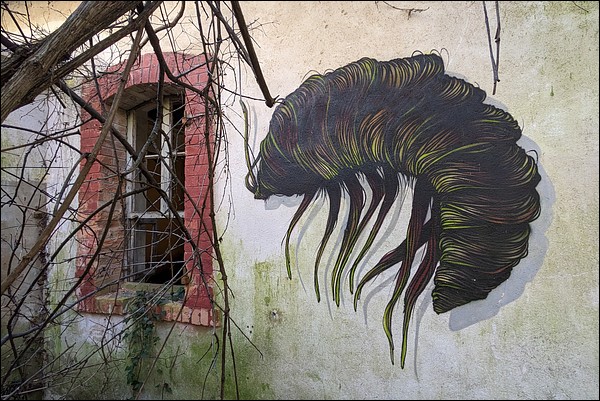 Gros cloporte graffiti