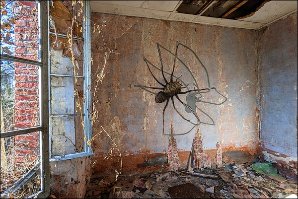 Araignée en urbex
