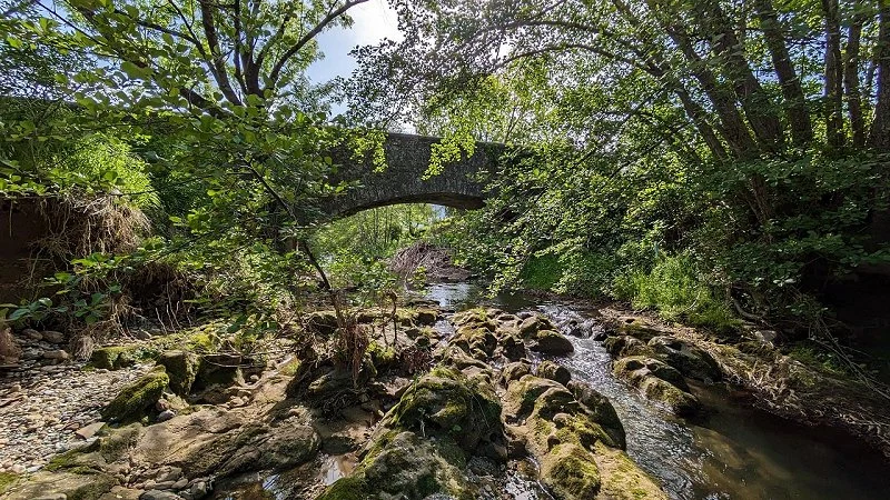 De l'or dans le Bourdaric