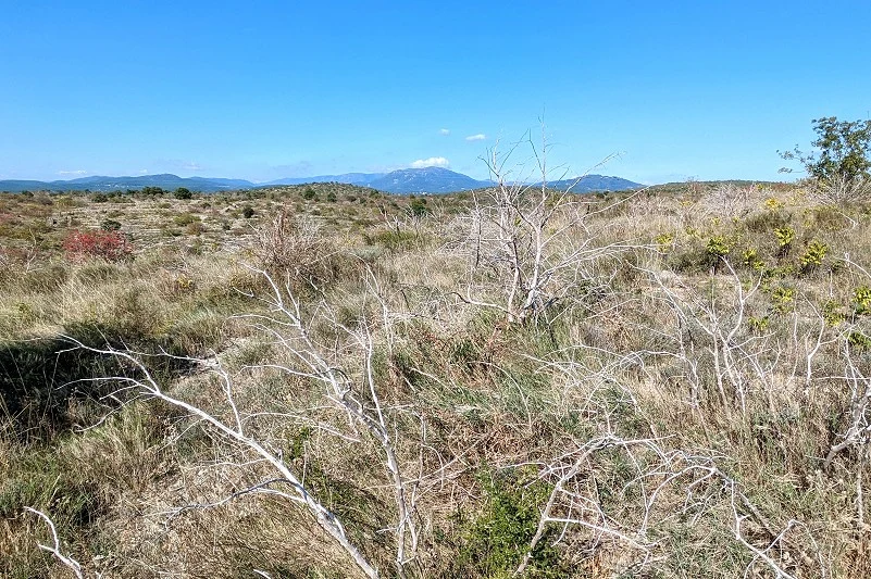 Ard&egrave;che Tourisme
