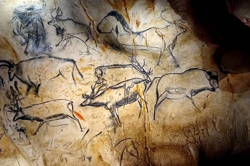Grotte Chauvet dessins