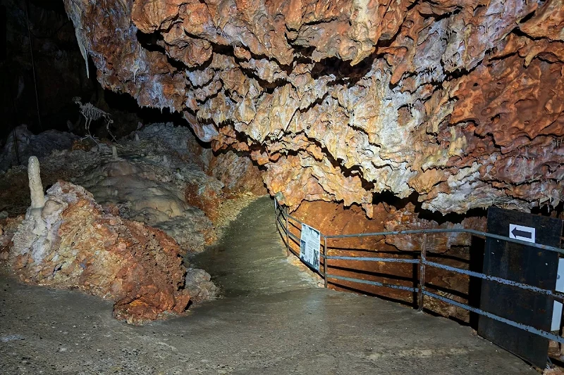 Grotte Foresti&egrave;re