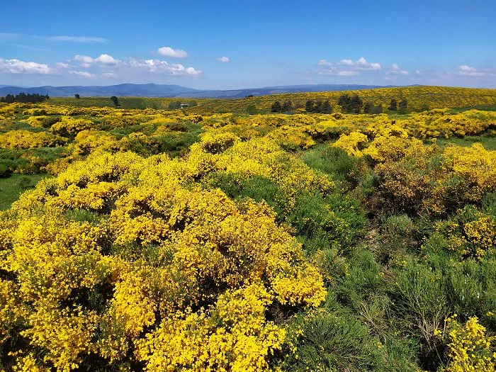 Montselgues Ard&egrave;che