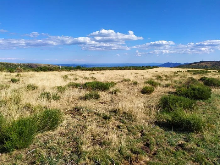 Montselgues Ard&egrave;che