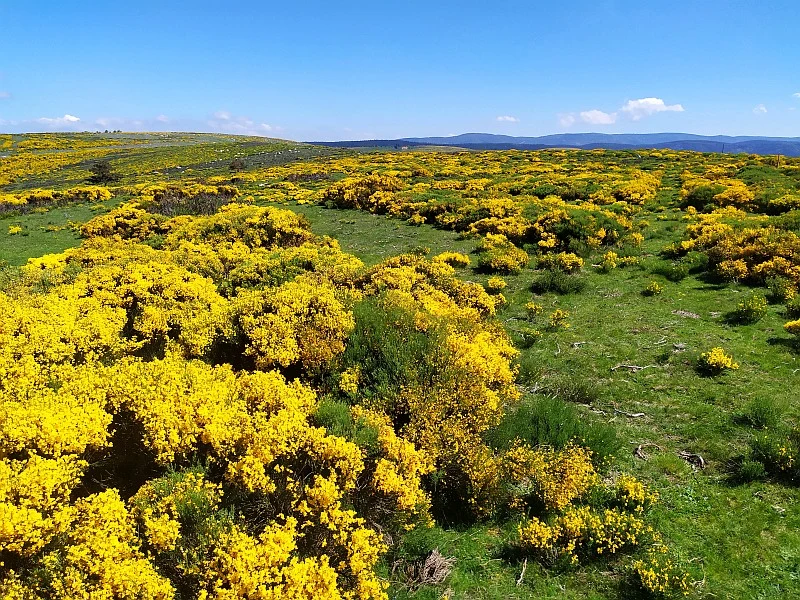 Montselgues Ard&egrave;che