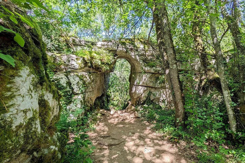 Le Bois de Pa&iuml;olive Ard&egrave;che