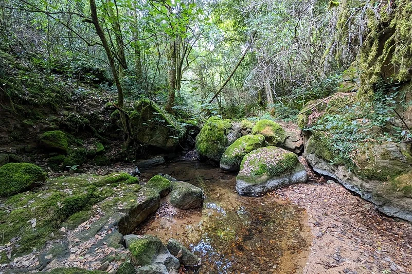 Tourisme en Ard&egrave;che